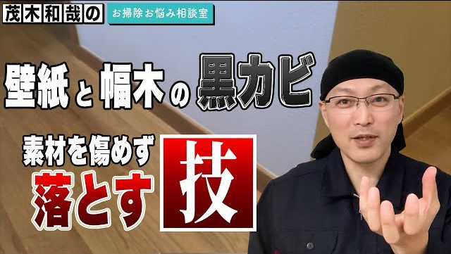 黒カビ 賃貸アパートの壁紙と幅木のカビを簡単除去するラクラクお掃除法 茂木流掃除講座 茂木和哉